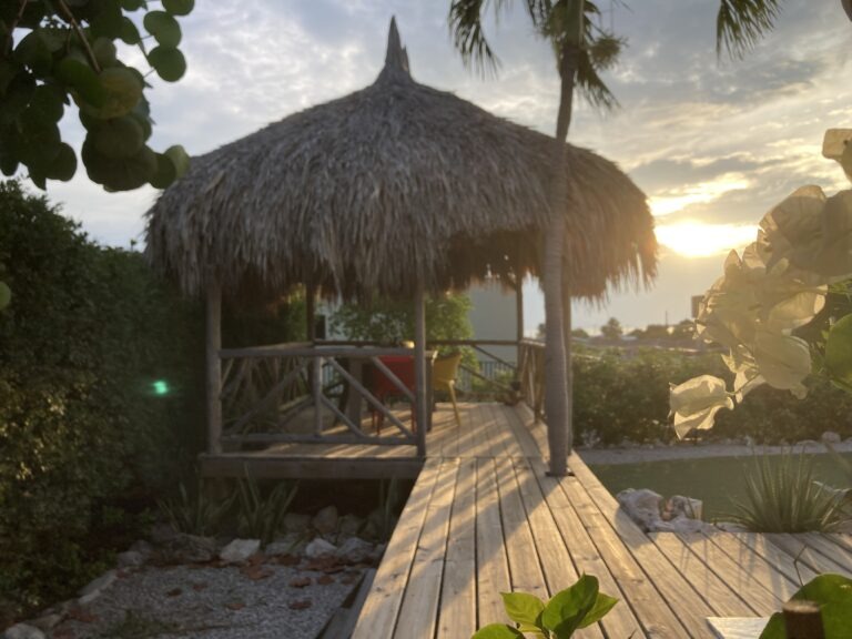 CB palapa achtertuin